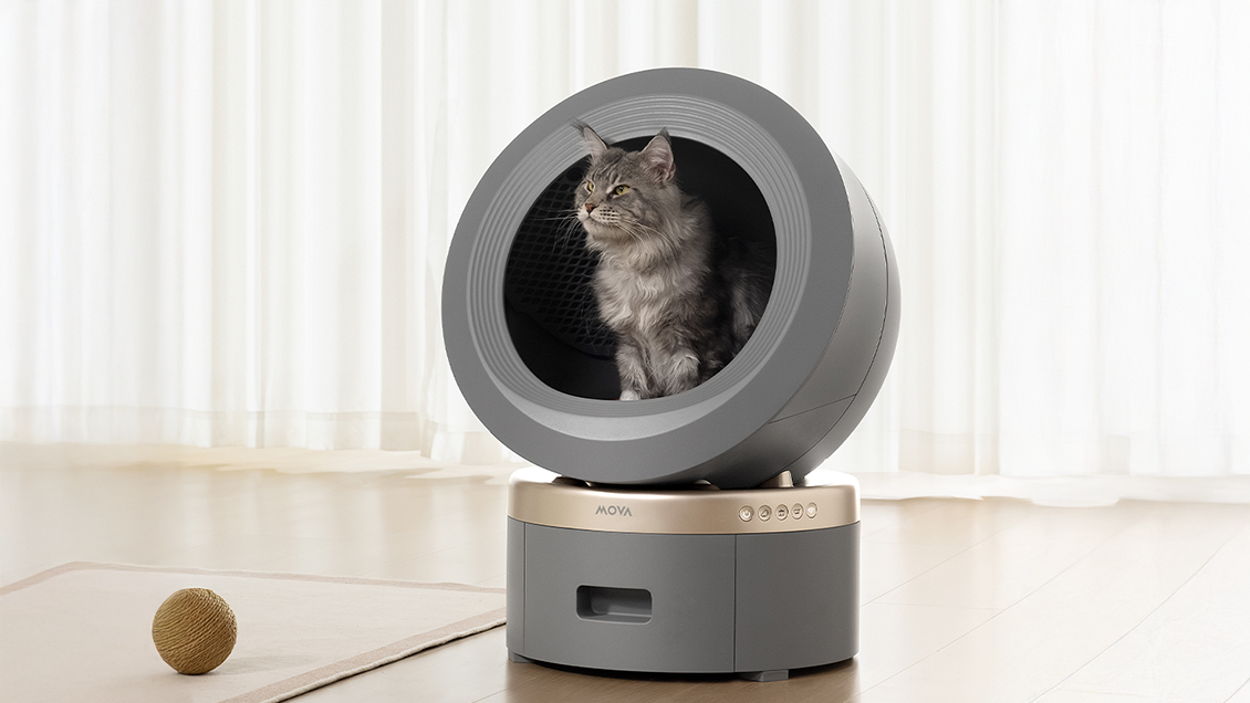 MOVA Pet LitterBot LR10: огляд розумного туалету для котів
